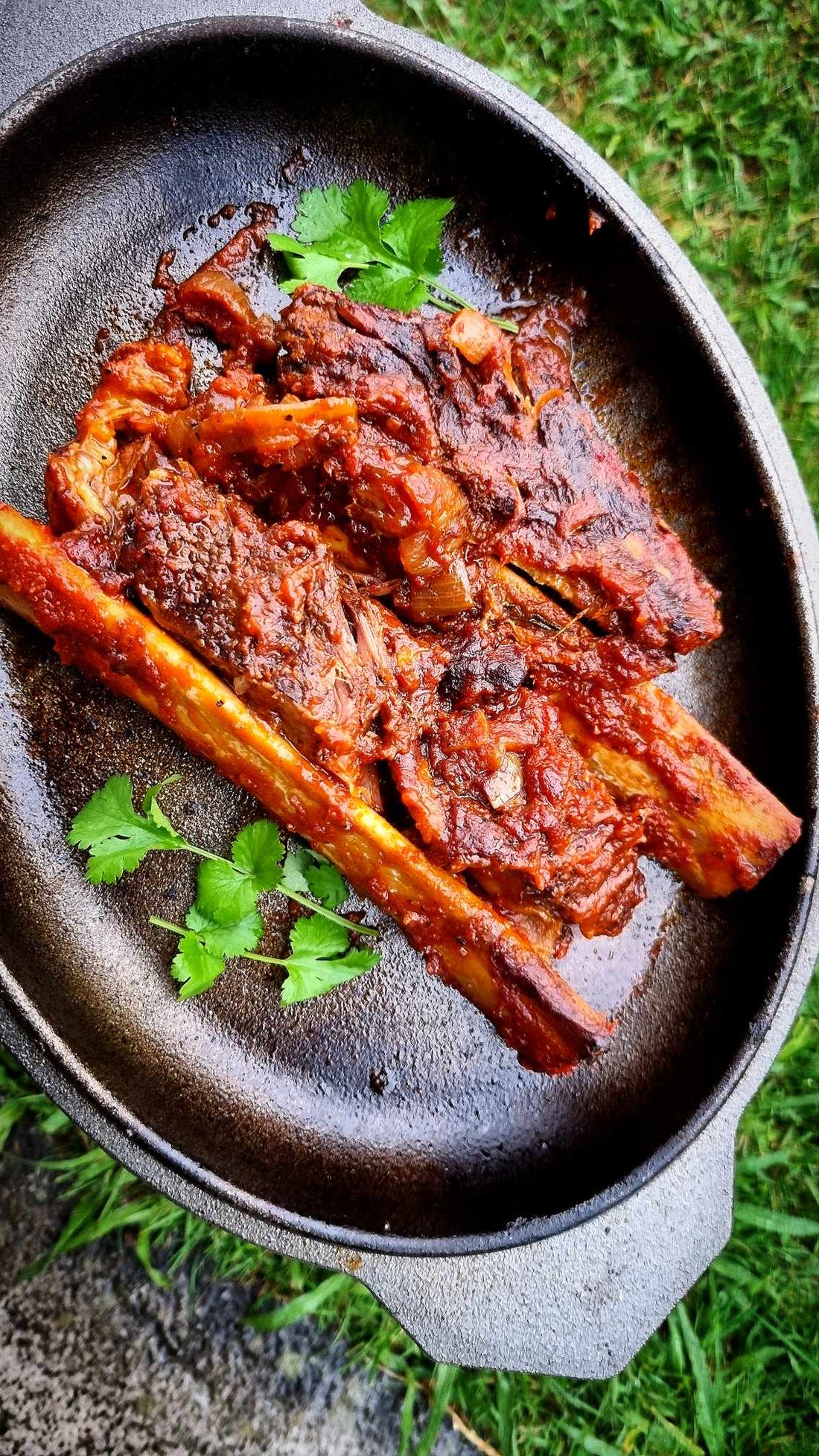 beef short ribs recipe tomato garlic and red wine